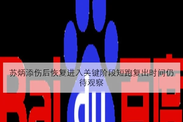 苏炳添伤后恢复进入关键阶段短跑复出时间仍待观察